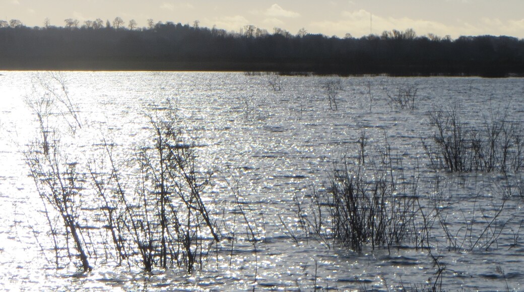 Foto “Diddington” tomada por Forester2009 (CC BY-SA); recorte de la original