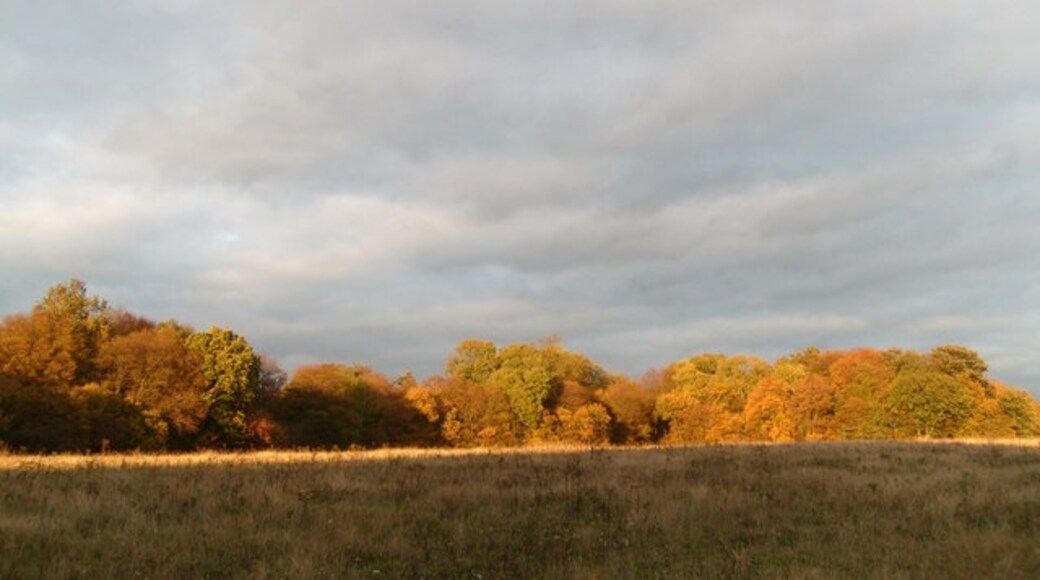 "Navestock"-foto av John Leeming (CC BY-SA) / Urklipp från original