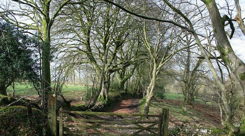 "Churchstanton"-foto av Hugh Craddock (CC BY-SA) / Urklipp från original