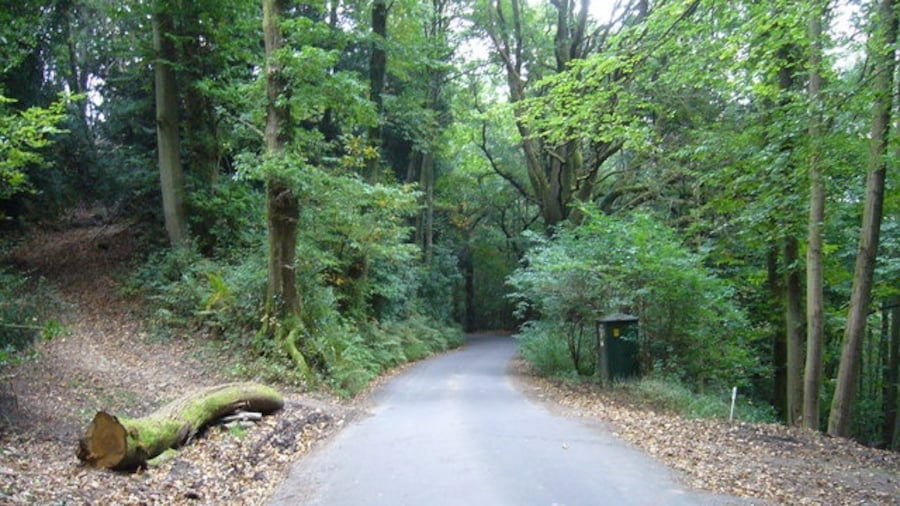 Photo "Track crossing road at Marley Heights The track in question is marked on the map as a byway but access to the left has been blocked for motor vehicles. It is signed as a bridleway." by Shazz (Creative Commons Attribution-Share Alike 2.0) / Cropped from original