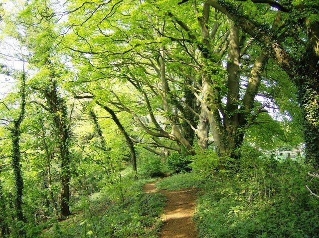 Foto “Radway CP” tomada por Graham Horn (CC BY-SA); recorte de la original