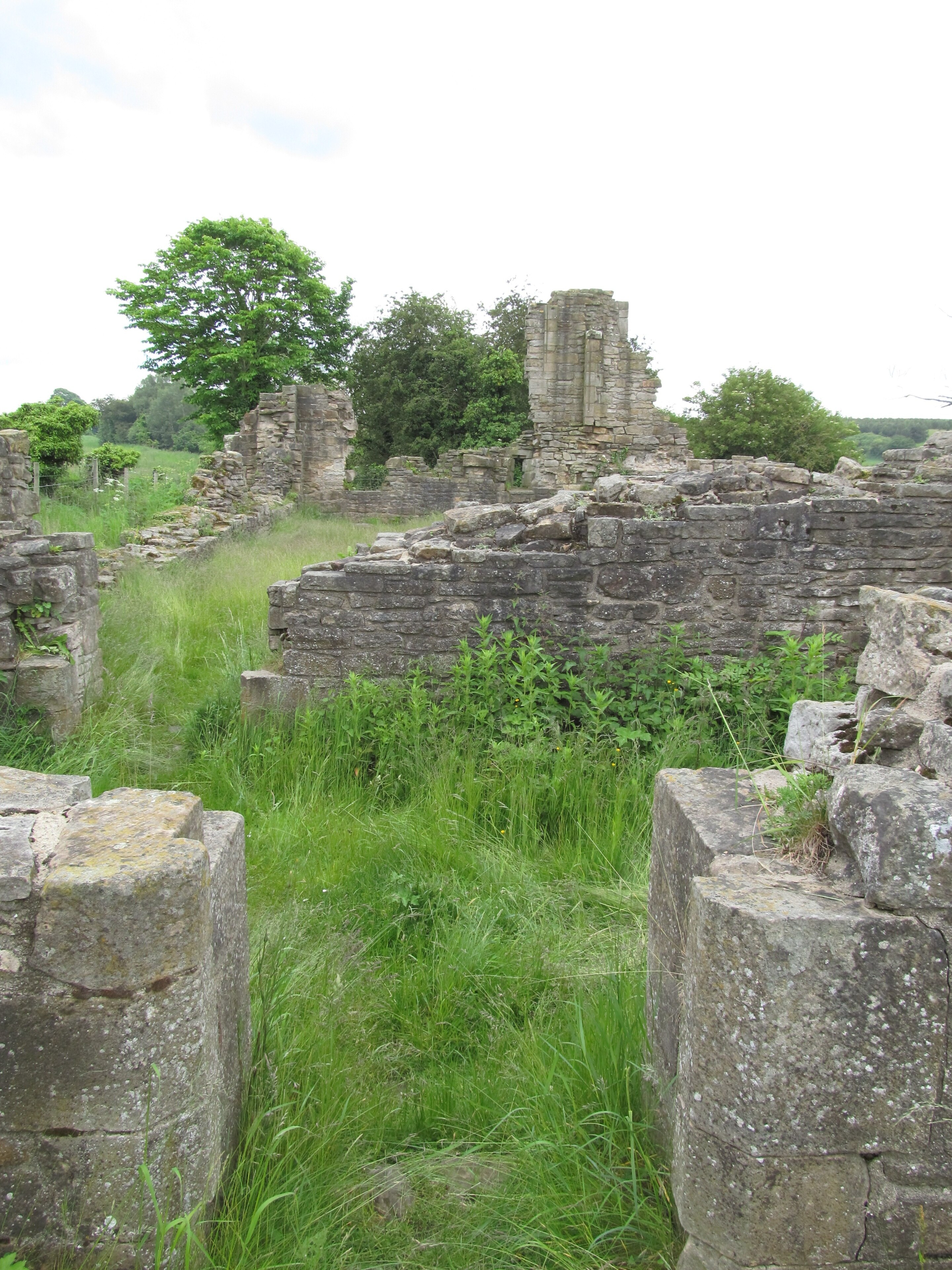 "Bearpark"-foto av Ataffo (page does not exist) (CC BY-SA) / Urklipp från original