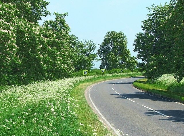 A417 from Buscot to Faringdon Blossom time in May