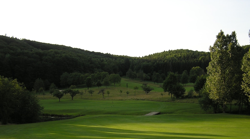 Photo "Golfclub Markgräflerland" by marchess (CC BY-SA) / Cropped from original