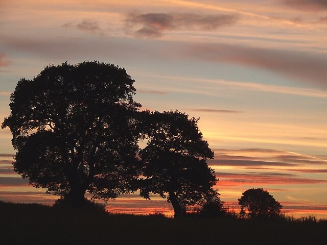 Foto “Higher Hurdsfield” tomada por Roger Kidd (CC BY-SA); recorte de la original