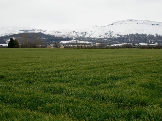 Foto “Faceby” tomada por Carol Rose (CC BY-SA); recorte de la original