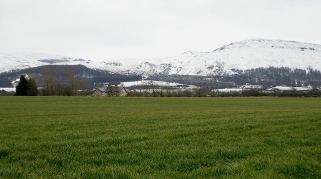 Billede "Faceby" af Carol Rose (CC BY-SA) / beskåret fra det originale billede