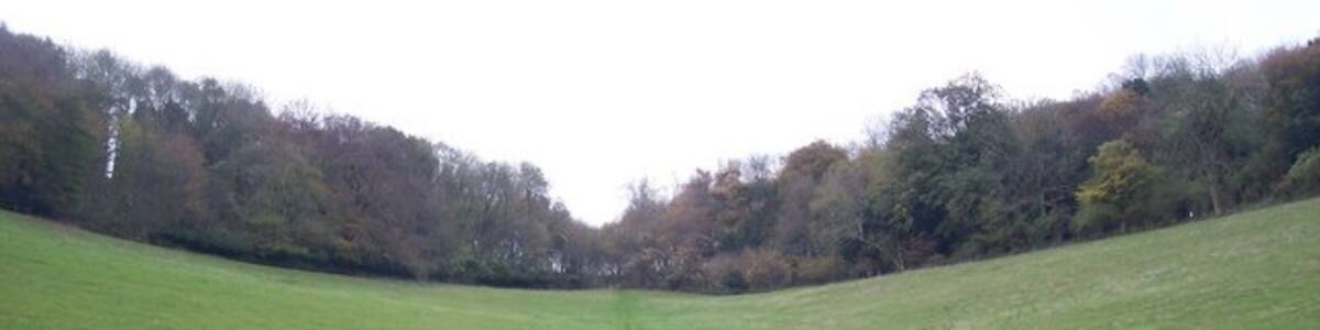 Photo "Footpath to Minny Wood This path leads up the grass track in the valley towards a wood near Star Hill Road." by David Anstiss (Creative Commons Attribution-Share Alike 2.0) / Cropped from original
