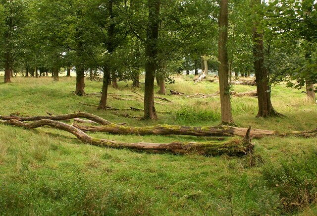 Photo "Simonstone" by Mr T (CC BY-SA) / Cropped from original