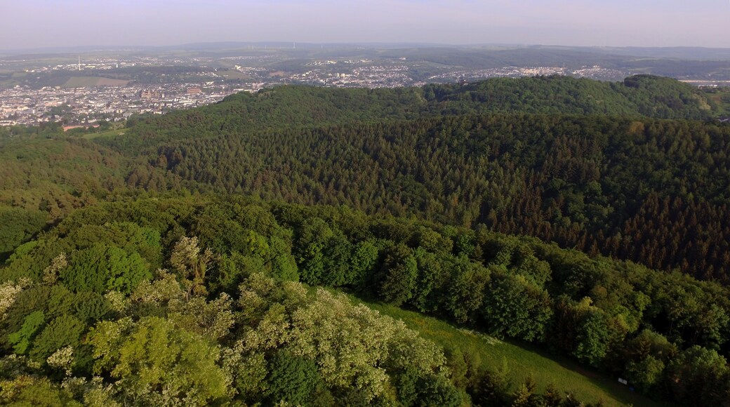 Trierweiler, Rhineland-Palatinate, Germany