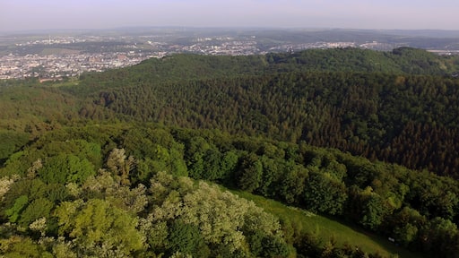 "Trierweiler"-foto av HelgeRieder (CC0) / Urklipp från original