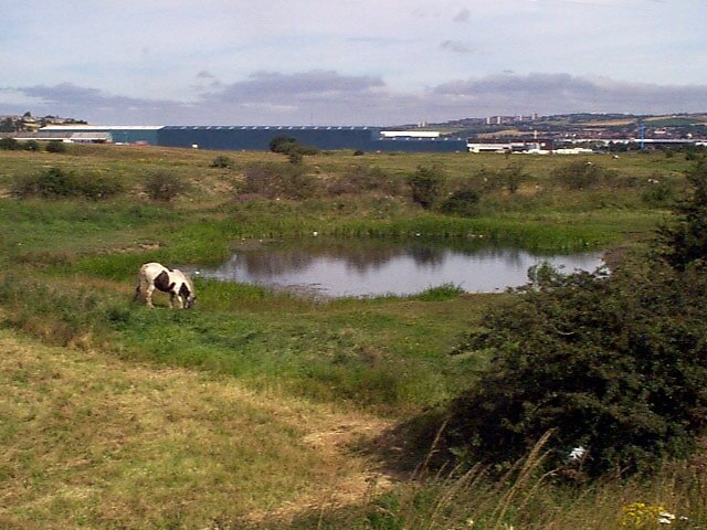 Foto “North Lodge” tomada por Chris Tweedy (CC BY-SA); recorte de la original