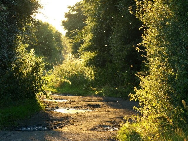 "Thorngumbald"-foto av Andy Beecroft (CC BY-SA) / Urklipp från original