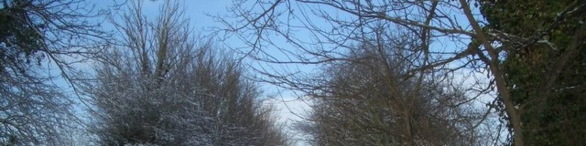 Photo "Abandoned Barrow Snow on the roads, you get abandoned cars. Snow on a footpath, you get abandoned wheelbarrows. Logical, really. This is the Ridgeway Path just north of North Stoke." by Des Blenkinsopp (Creative Commons Attribution-Share Alike 2.0) / Cropped from original