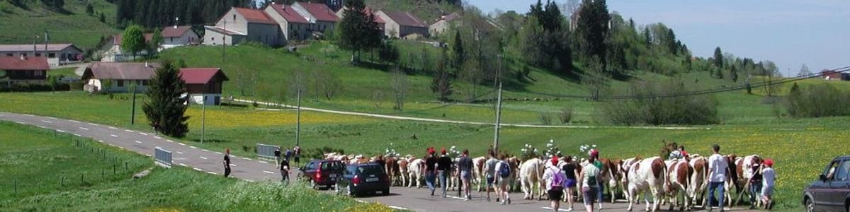 Photo "Montée des génisses à Chatelblanc (Doubs)." by Pmau (Creative Commons Attribution-Share Alike 4.0) / Cropped from original