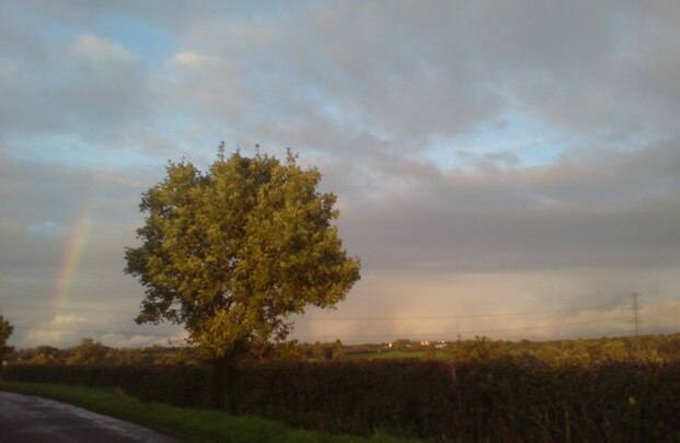 Foto “Tiffield” tomada por Bucks Beds War and Northants Travel and Adventure Group (CC BY-SA); recorte de la original