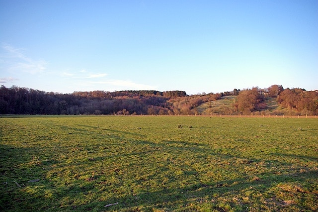 Field Within Dalserf This field is at the end of the main Kirk Road in Dalserf, there is a farm to the left that cannot be seen within the picture.