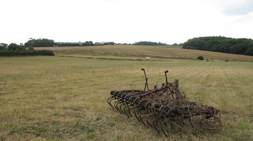 "Standon"-foto av Martin Addison (CC BY-SA) / Urklipp från original