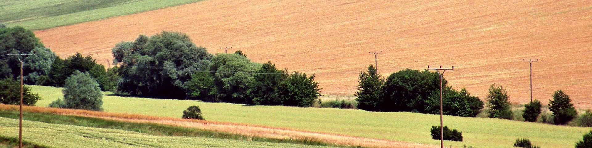 View to the dump Teutschenthal and to the brown coal plant Romonta