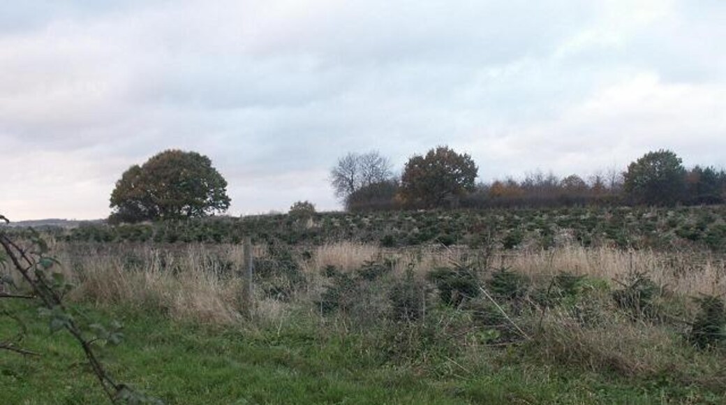 Foto „Great Melton“ von Katy Walters (CC BY-SA)/zugeschnittenes Original