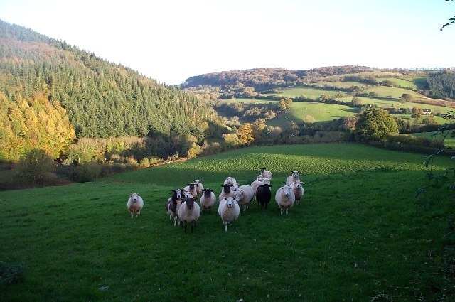 Just below Leighland Chapel. The area covered by the picture is more or less the whole of the South East quarter of the grid square. The Washford River runs in the steep valley to the left.