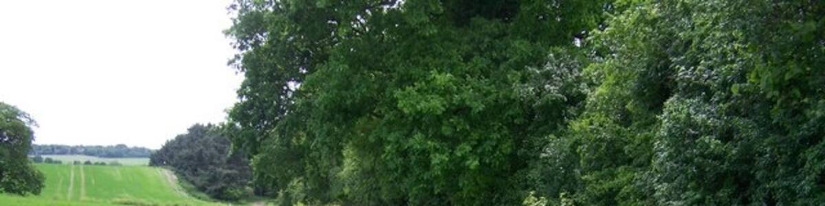 Photo "View south from Church Hill No doubt an old track, this is called Church Hill on the 1:25,000 OS map. This view is looking south. There is no sign of a church anywhere, or indeed any roads. The track snakes round the perimeter of several fields." by Trevor Alder (Creative Commons Attribution-Share Alike 2.0) / Cropped from original