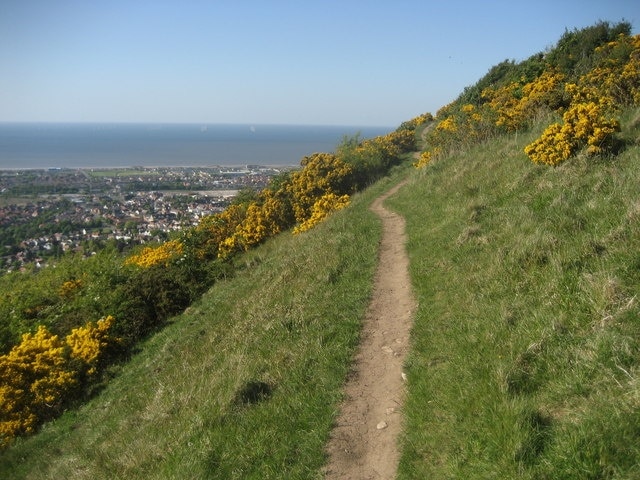 Above Prestatyn Following the Offa's Dyke National Trail on the Prestatyn Hillside Nature Reserve, high above the coastal resort.