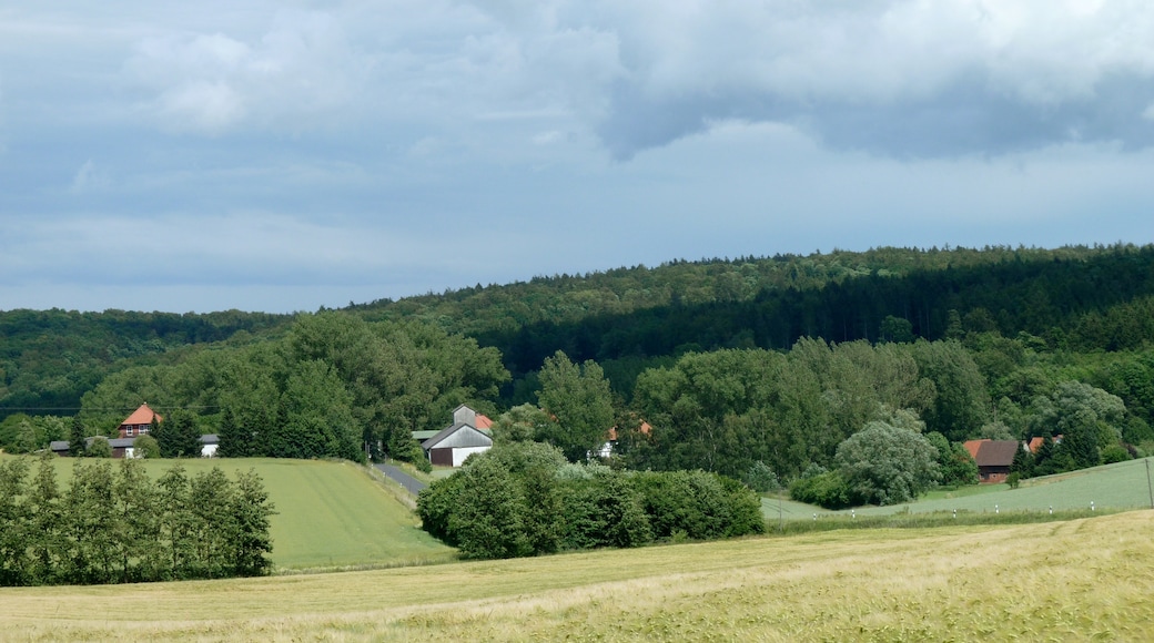 Photo "Gleichen" by Dehio (CC BY-SA) / Cropped from original
