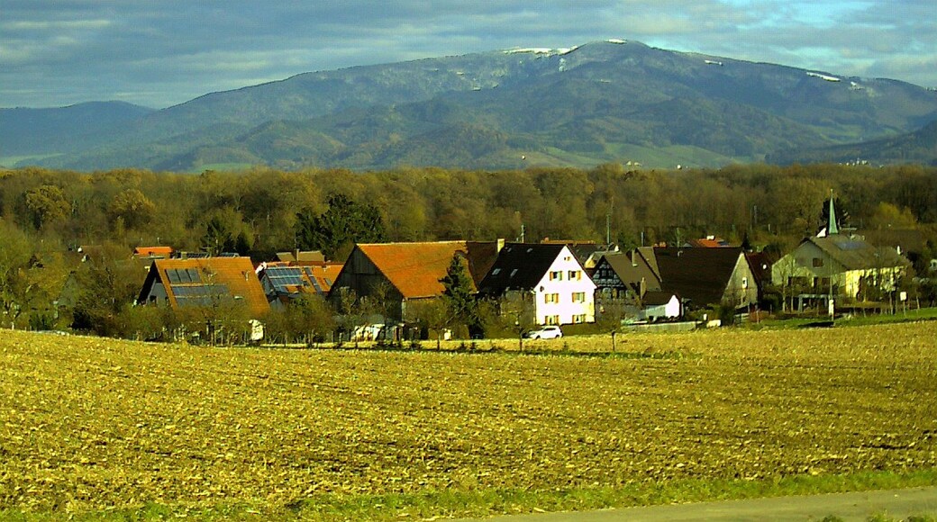 Photo "Hochdorf" by pictures Jettcom (CC BY) / Cropped from original