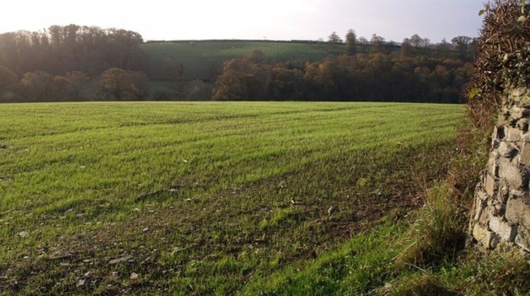 Foto "Werrington" de Derek Harper (CC BY-SA) / Recortada do original