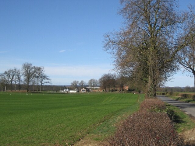 Photo "Langthorpe" by TIM CHAPMAN (CC BY-SA) / Cropped from original