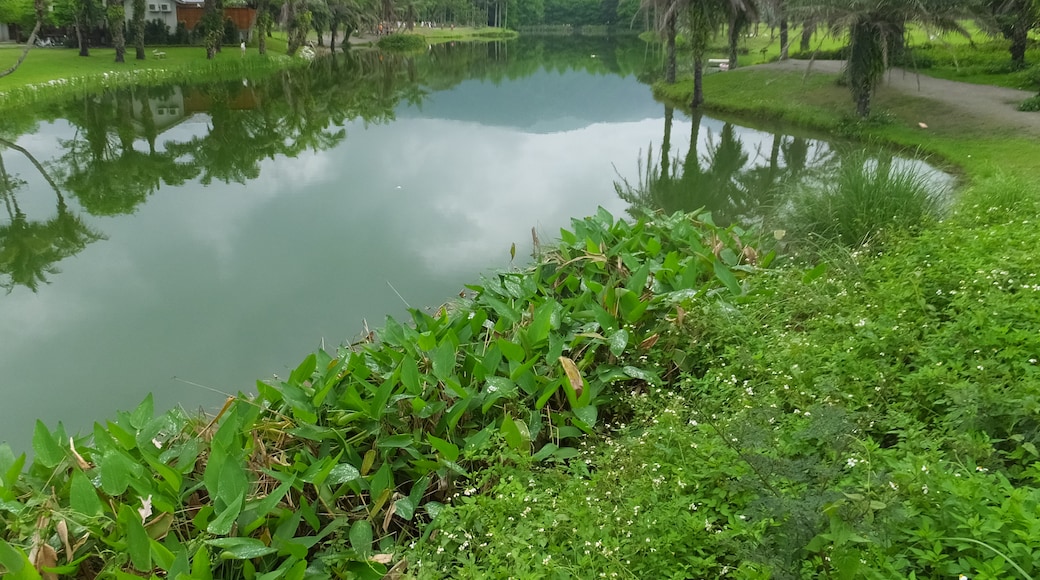Foto „Hualien Yunshanshui Dream Lake“ von lienyuan lee (CC BY)/zugeschnittenes Original