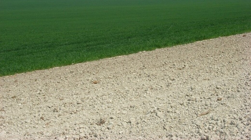 Photo "Grafton" by Andrew Smith (CC BY-SA) / Cropped from original