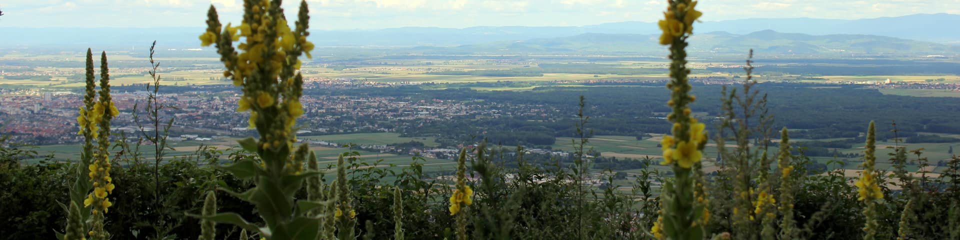 Husseren-les-Châteaux, Haut-Rhin (departamento), Francia