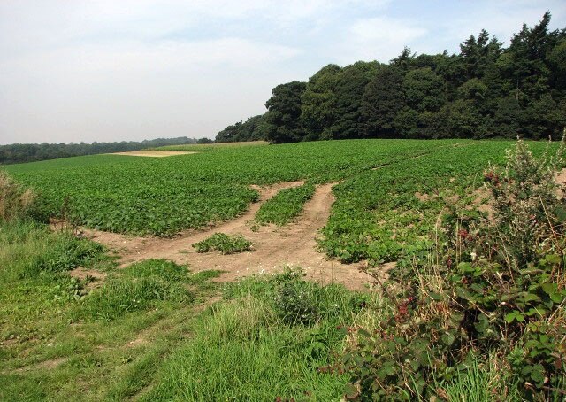 Photo "Westwick" by Evelyn Simak (CC BY-SA) / Cropped from original