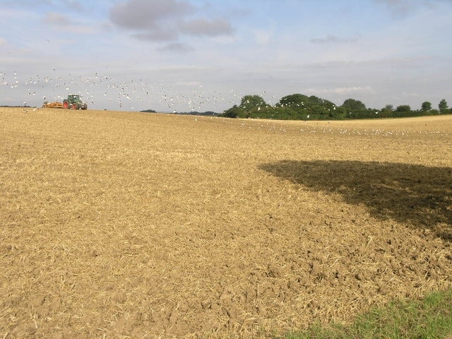 Kuva ”Huttoft” käyttäjältä Michael Patterson (CC BY-SA) / rajattu alkuperäisestä kuvasta