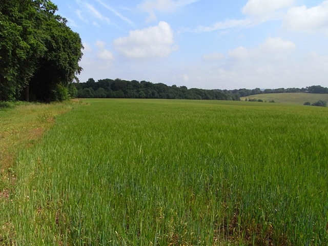 Billede "Great and Little Hampden" af Andrew Smith (CC BY-SA) / beskåret fra det originale billede