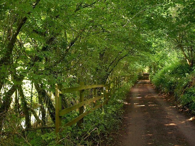 Lane near Longcombe The lane below Lower Longcombe crosses the easting gridline just along here. On the left of the tunnel of greenery, below the fence, is the stream that passes Fleet Mill on its way to the River Dart.