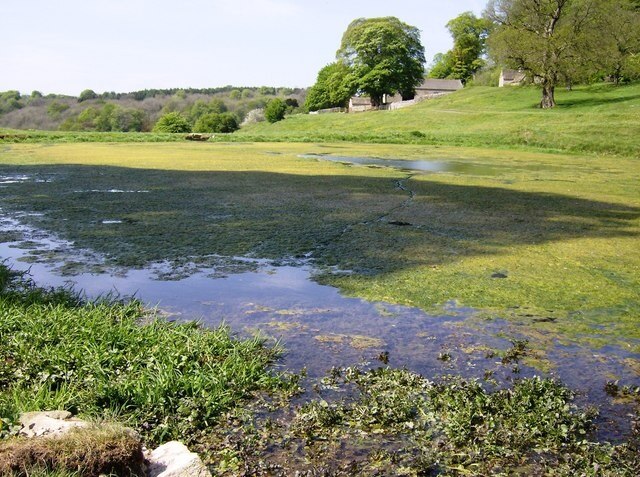 Photo "Duntisbourne Rouse" by Graham Horn (CC BY-SA) / Cropped from original