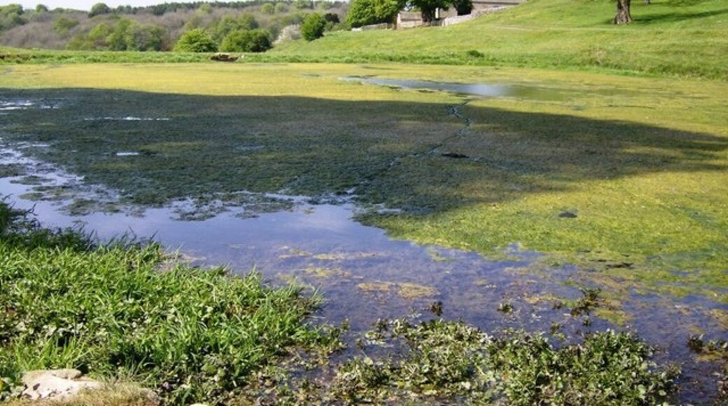 Photo "Duntisbourne Rouse" by Graham Horn (CC BY-SA) / Cropped from original