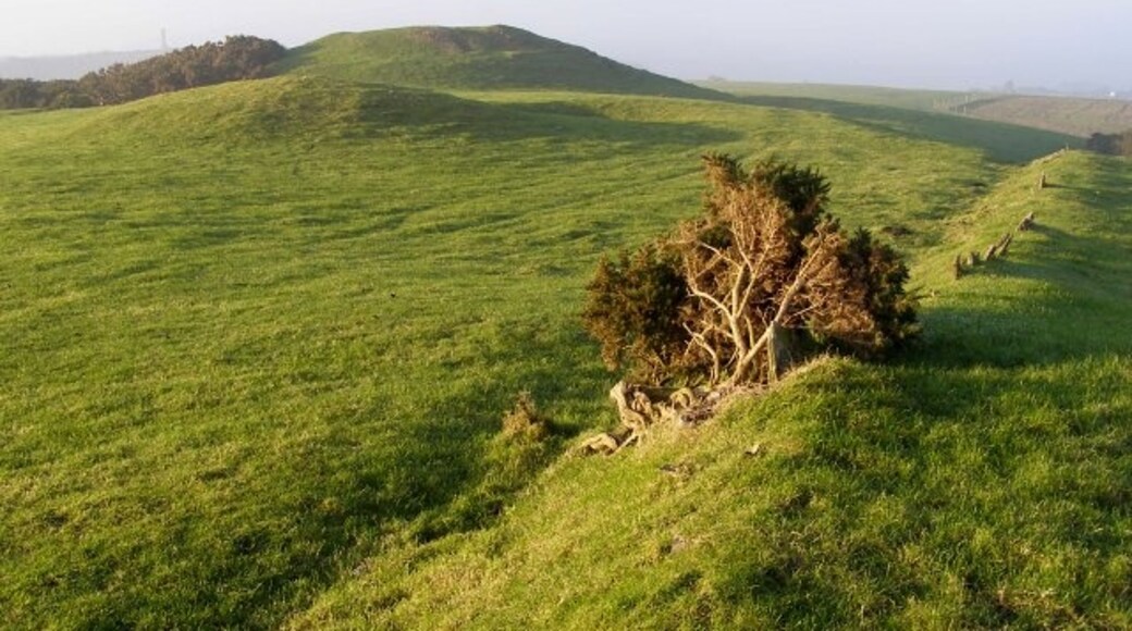 Photo "Winterborne St. Martin" by Jim Champion (CC BY-SA) / Cropped from original