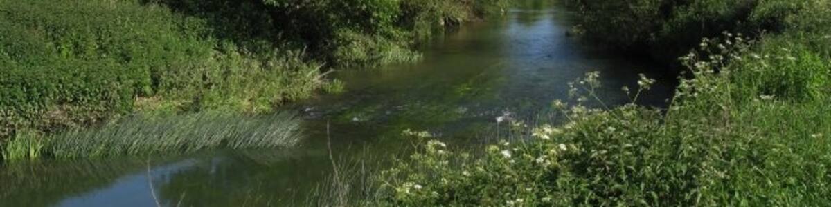 Photo "River Avon south of Chippenham." by Doug Lee (Creative Commons Attribution-Share Alike 2.0) / Cropped from original