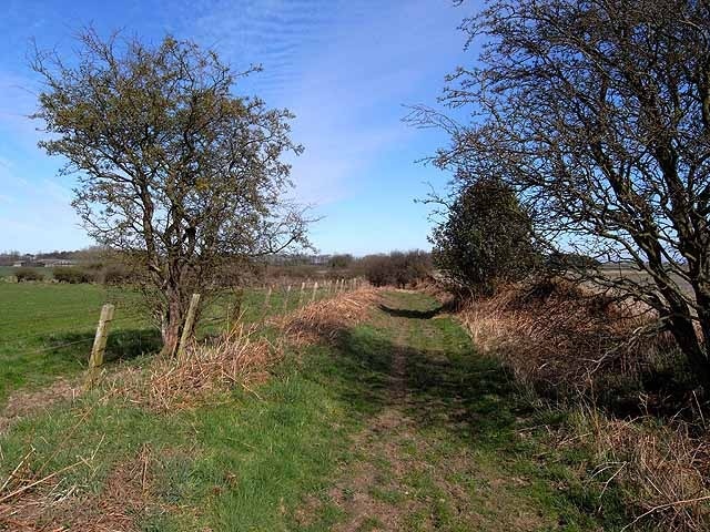 St Oswald's Way on Rake Lane St Oswald's Way http://www.stoswaldsway.com/home.html is a 156 Km long trail which runs from Heavenfield near Hexham to Holy Island on the Northumberland coast (although more commonly walked in the opposite direction).