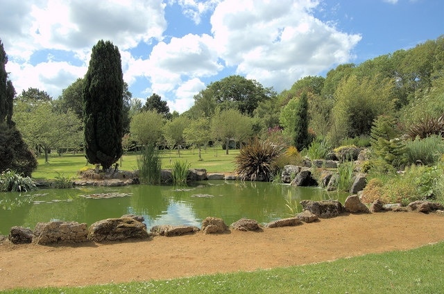 Pond in grounds of Breakspear Crematorium, Ruislip (1)