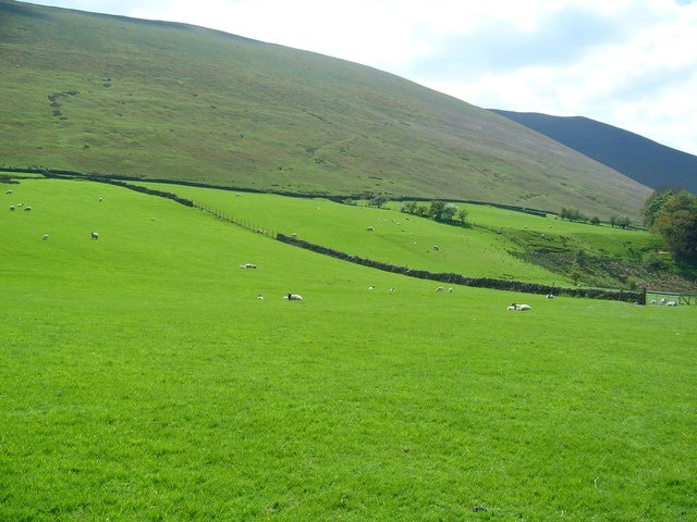 Pasture land below Souther Fell