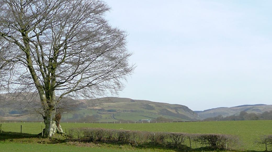 Photo "Tregaron" by Roger Kidd (CC BY-SA) / Cropped from original