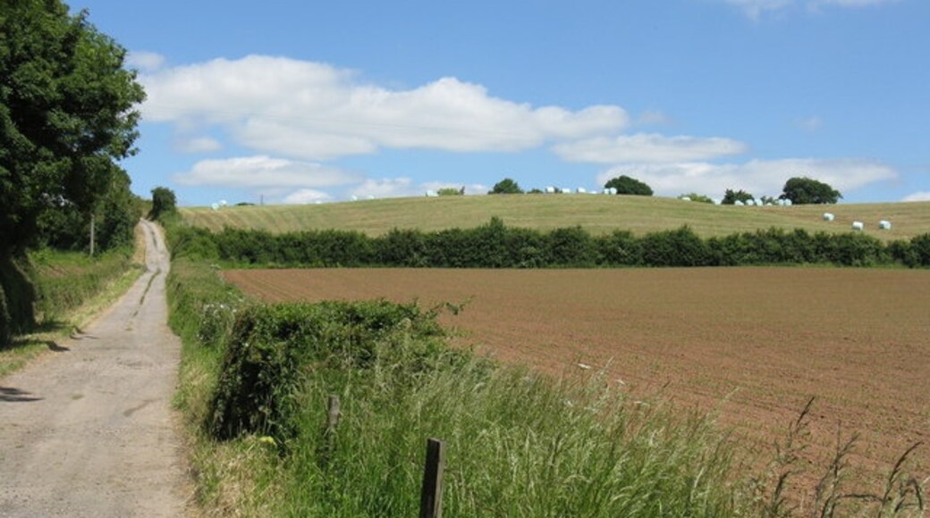 Photo "Queenhill" by Whatlep (CC BY-SA) / Cropped from original