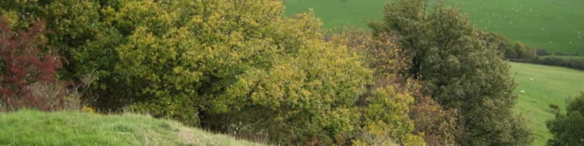 Photo "View from the limestone hill above Graig" by Phil Catterall (Creative Commons Attribution-Share Alike 2.0) / Cropped from original