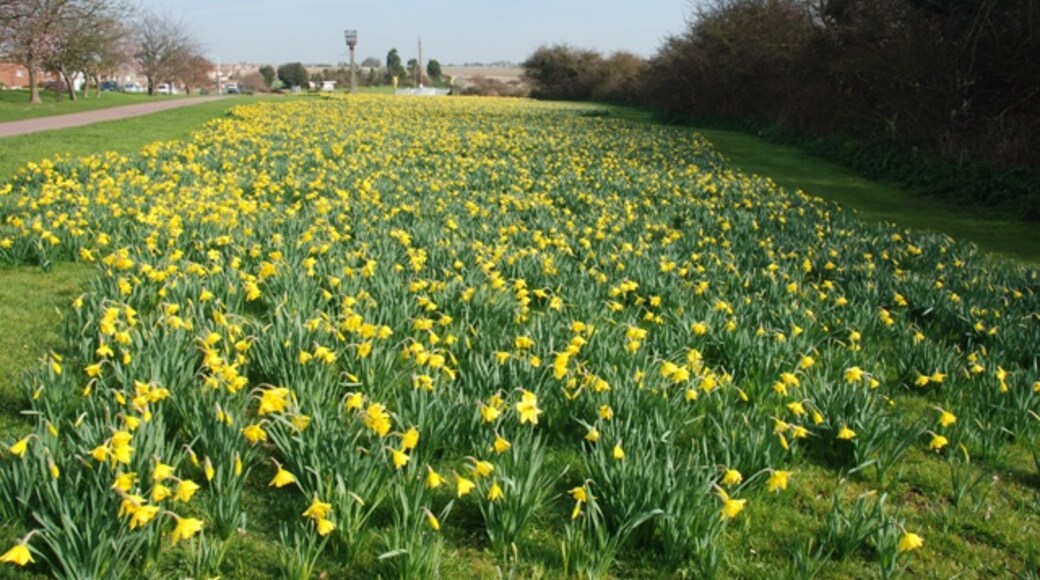 "Cliffsend"-foto av david mills (CC BY-SA) / Urklipp från original
