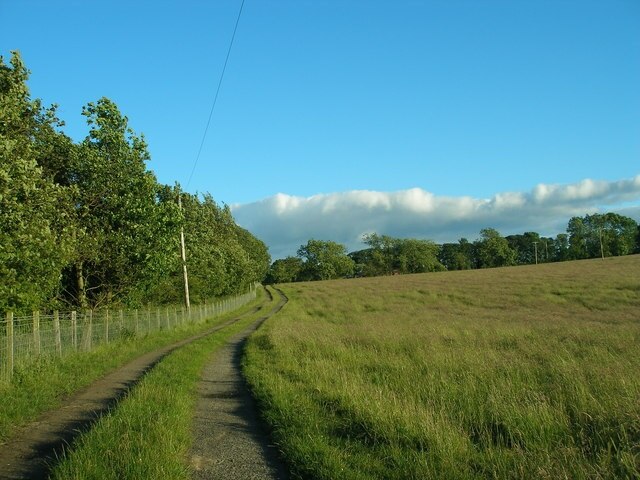 Kuva ”Whorlton” käyttäjältä Carol Rose (CC BY-SA) / rajattu alkuperäisestä kuvasta